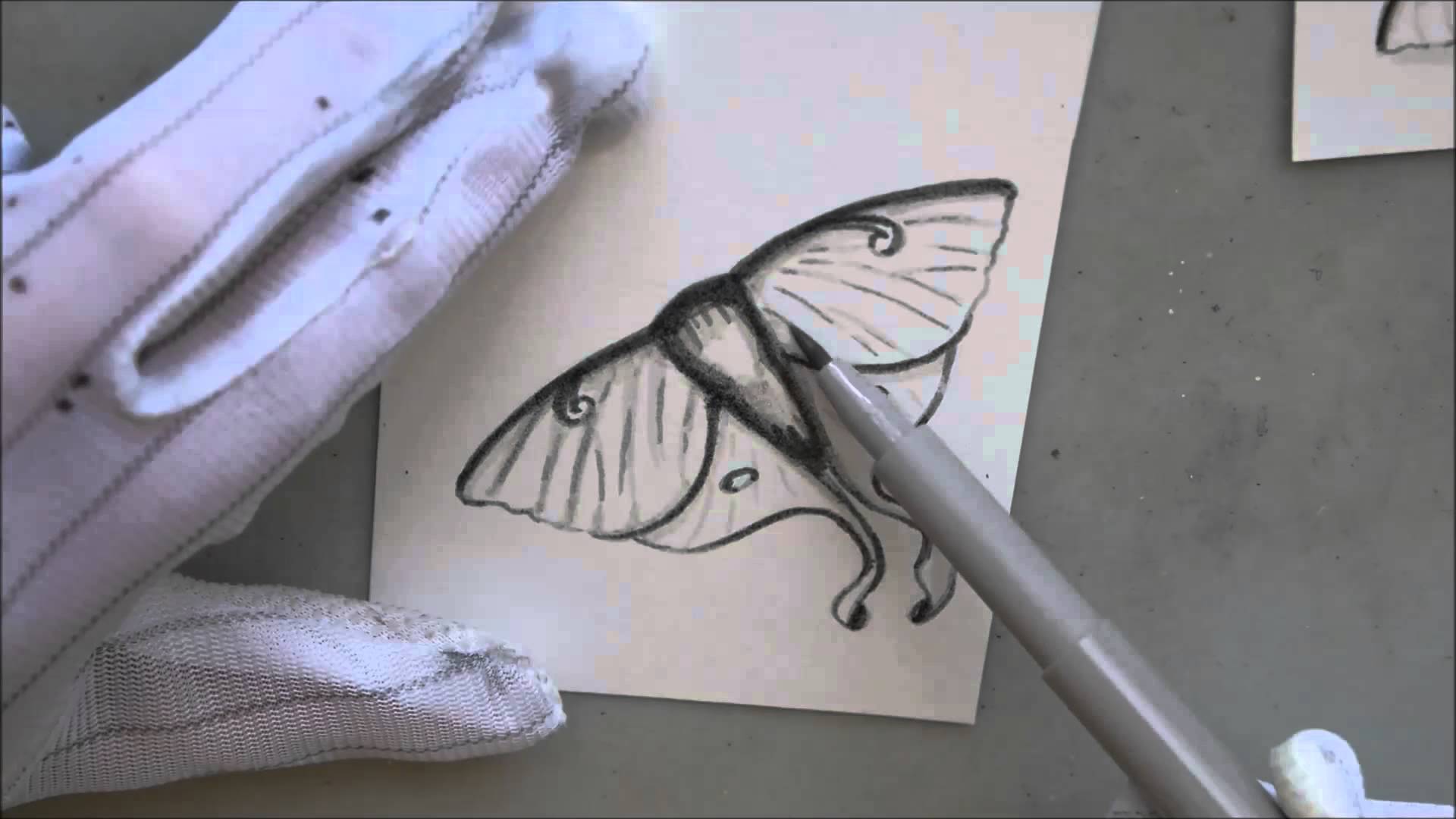 1920x1080 Luna Moth Ink Sketch - Luna Moth Sketch