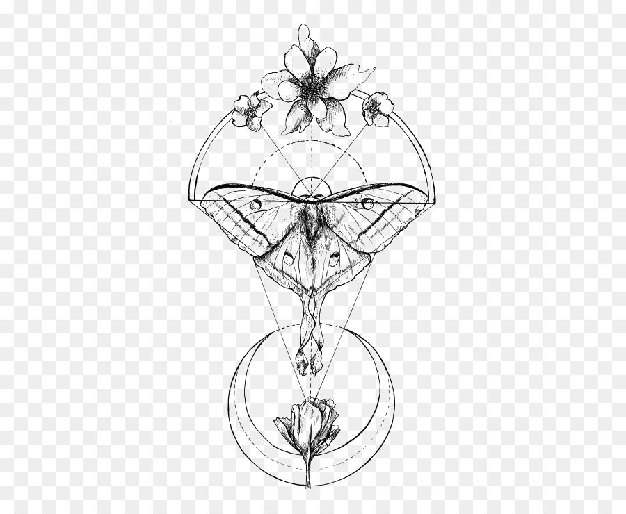 900x740 Butterfly Luna Moth Insect Drawing - Luna Moth Sketch