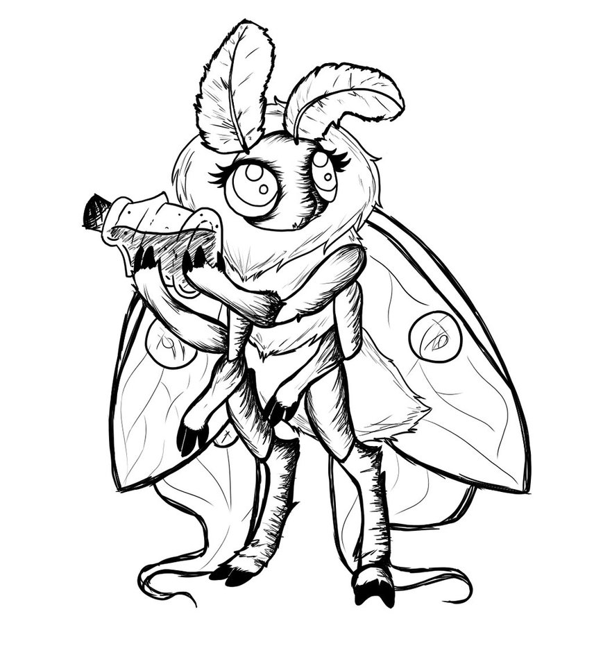 856x934 Ecliplsa The Luna Moth Sketch .c20. By Autumnemerald - Luna Moth Sketch