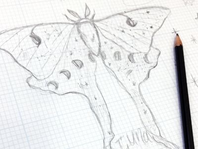 400x300 Luna Moth Sketch By Mapleandbelmont - Luna Sketch