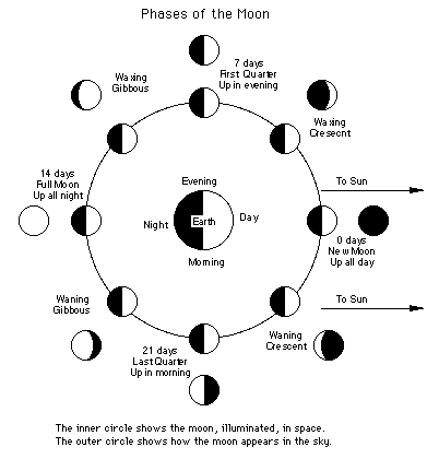 402x420 Using A Lunar Eclipse To Measure The Relative Szes Of The Earth - Lunar Eclipse Sketch