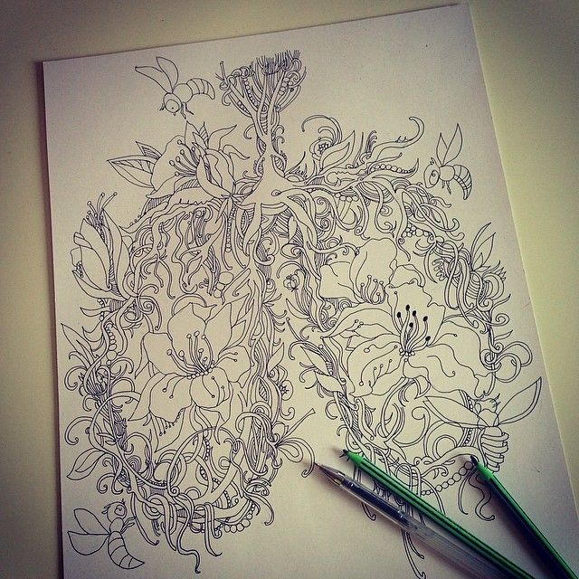 640x640 Lungs - Lungs Sketch