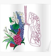 210x230 Lungs Drawing Posters Redbubble - Lungs Sketch