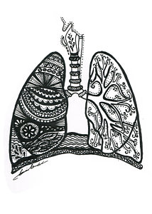 214x300 Lungs Drawing By Daria Brekke - Lungs Sketch