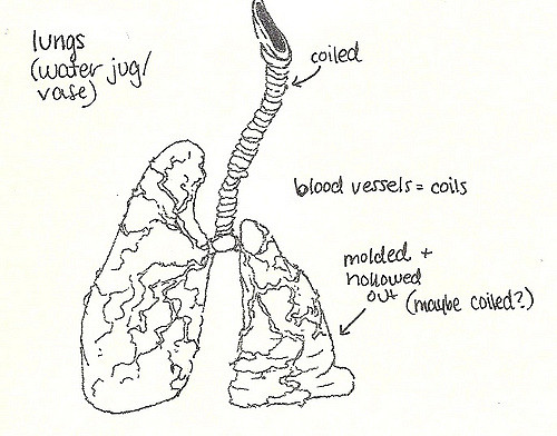 500x392 Lungs Sketch Mairaegan - Lungs Sketch