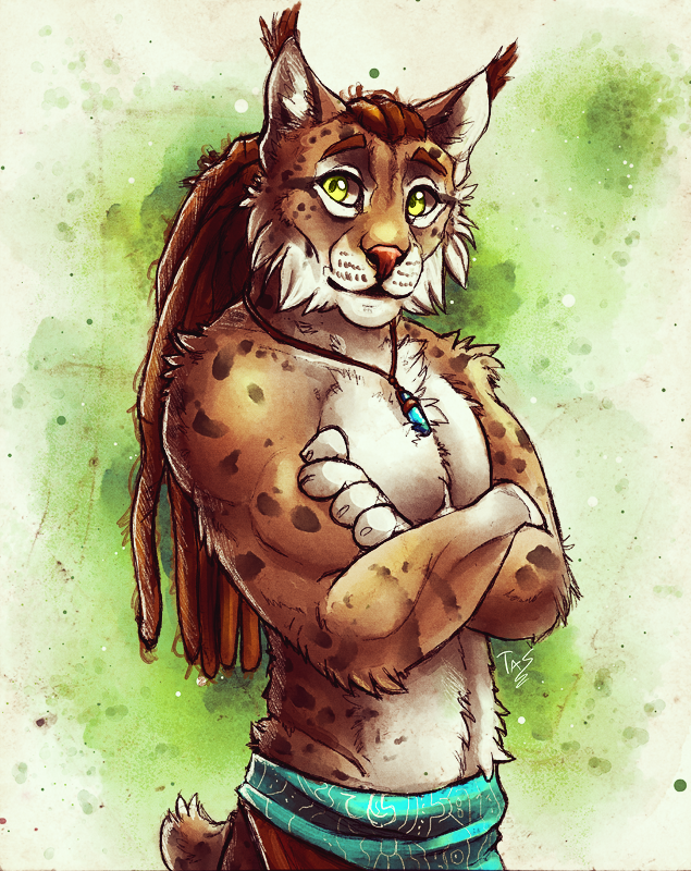 635x800 Friendly Lynx - Lynx Sketch