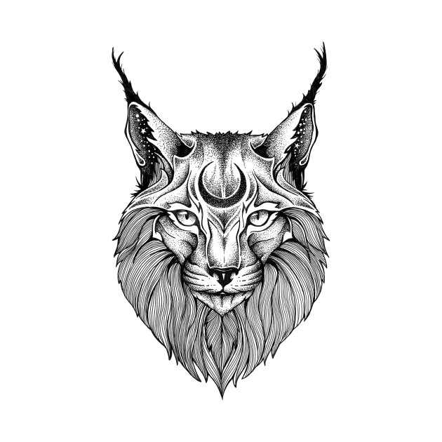 630x630 Lynx - Lynx Sketch