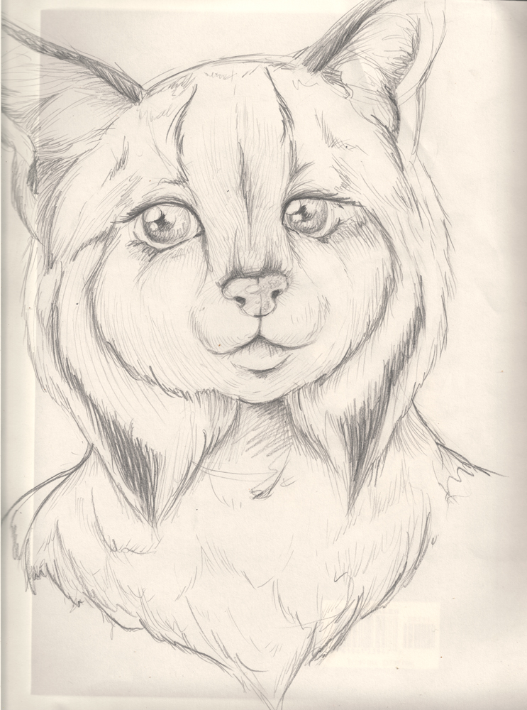 743x1000 Lynx Sketch By Onewingedweasel - Lynx Sketch