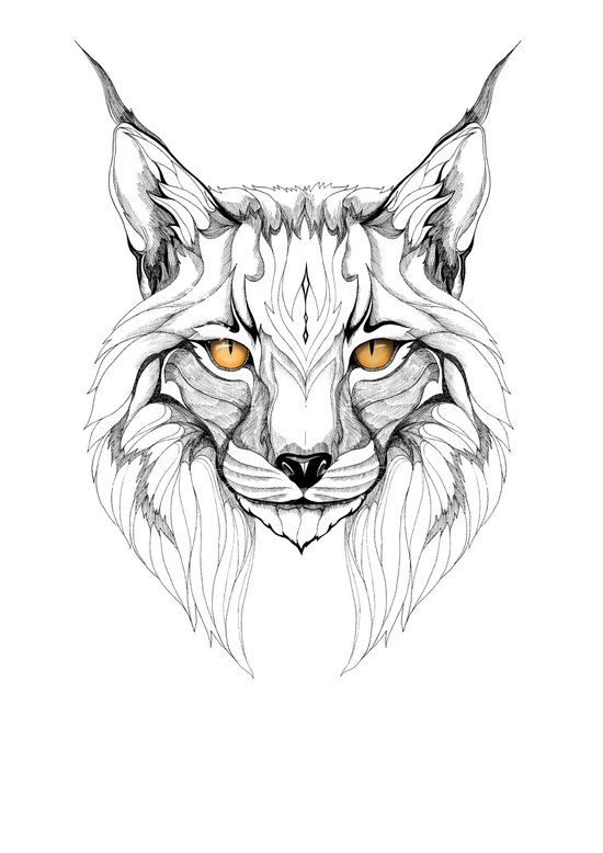 550x778 Lynx Graphic Art Lynx Tattoos, Art And Drawings - Lynx Sketch