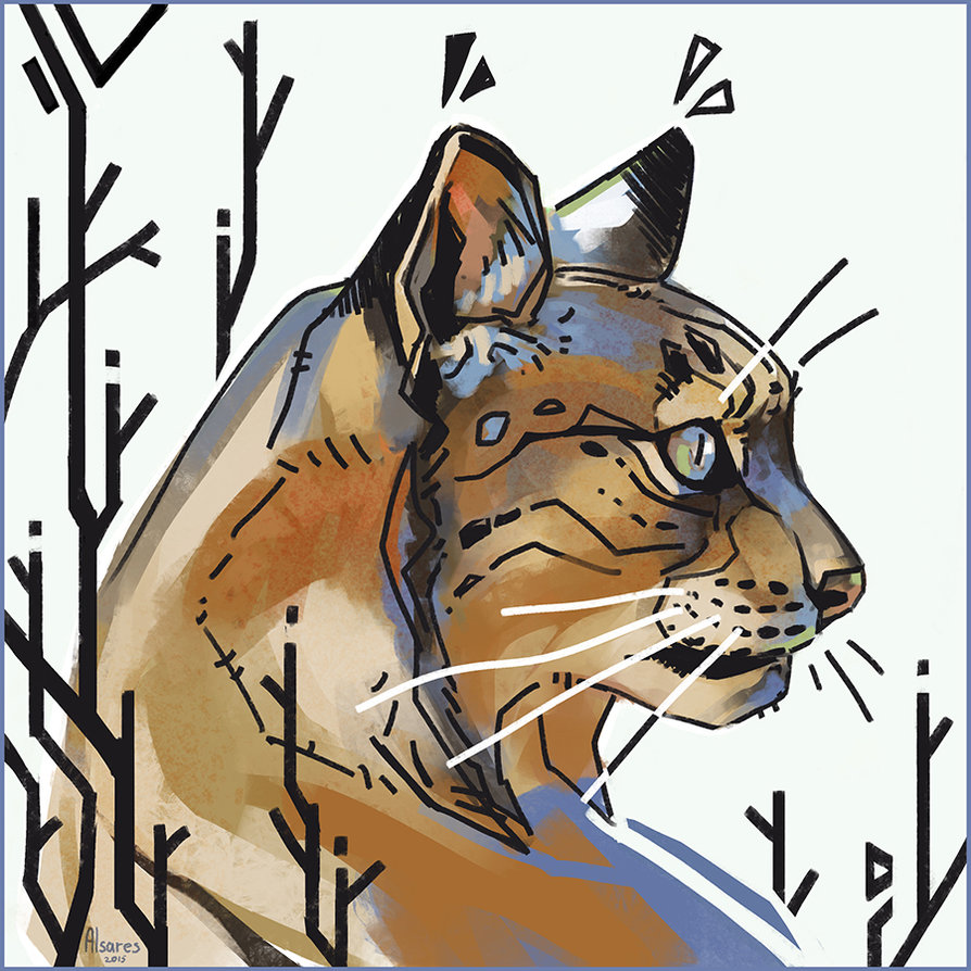 894x894 Lynx Sketch 2 By Alsareslynx - Lynx Sketch