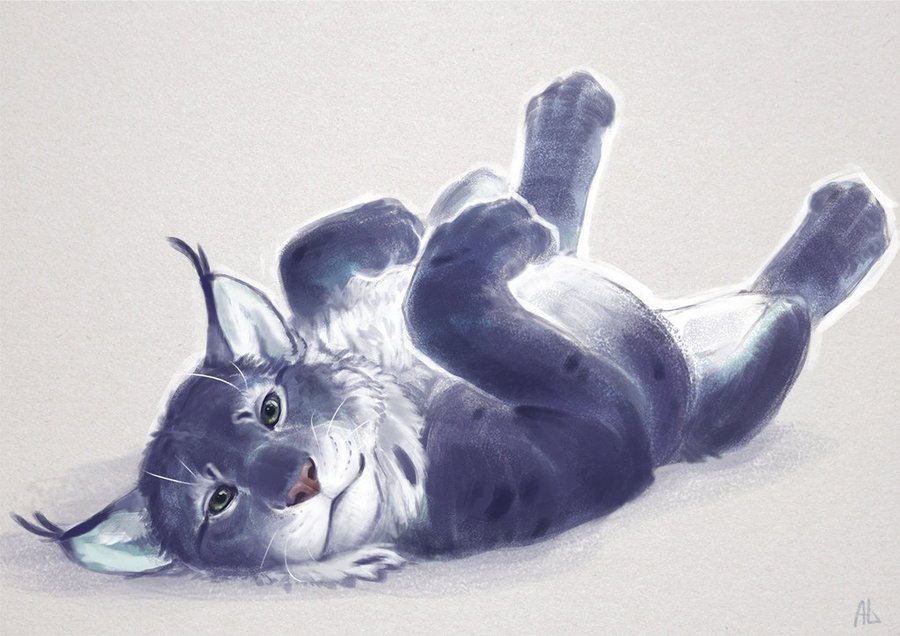 900x636 Lynx Sketch By Alsareslynx - Lynx Sketch