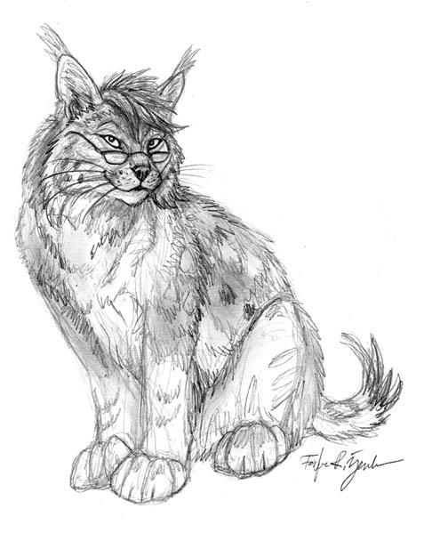 504x608 Bobcat Lynx Sketch By Foxfeather248 - Lynx Sketch