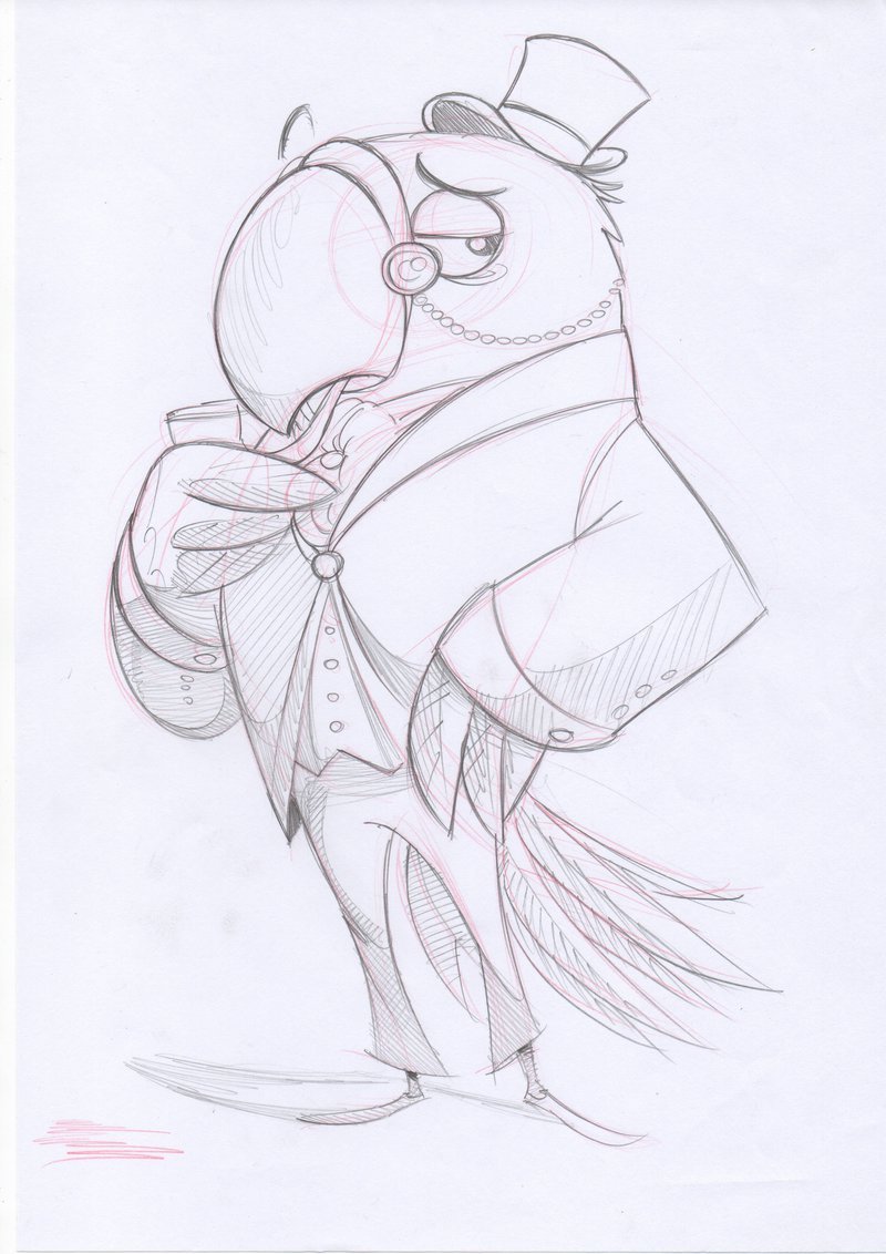 800x1132 Macaw Sketch By Jovaz - Macaw Sketch