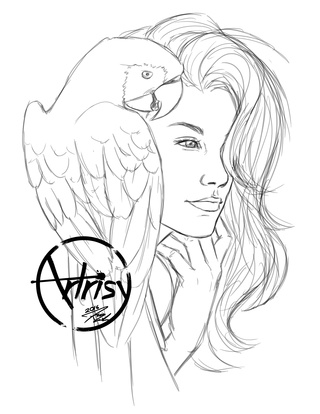 320x414 Macaw Drawings On Paigeeworld. Pictures Of Macaw - Macaw Sketch