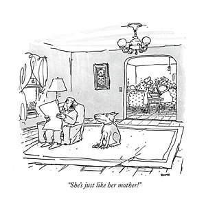 300x295 Mad Dog Drawings Fine Art America - Mad Dog Sketch