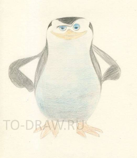 523x600 How To Draw Penguins Of Madagascar Pencil Stages - Madagascar Sketches