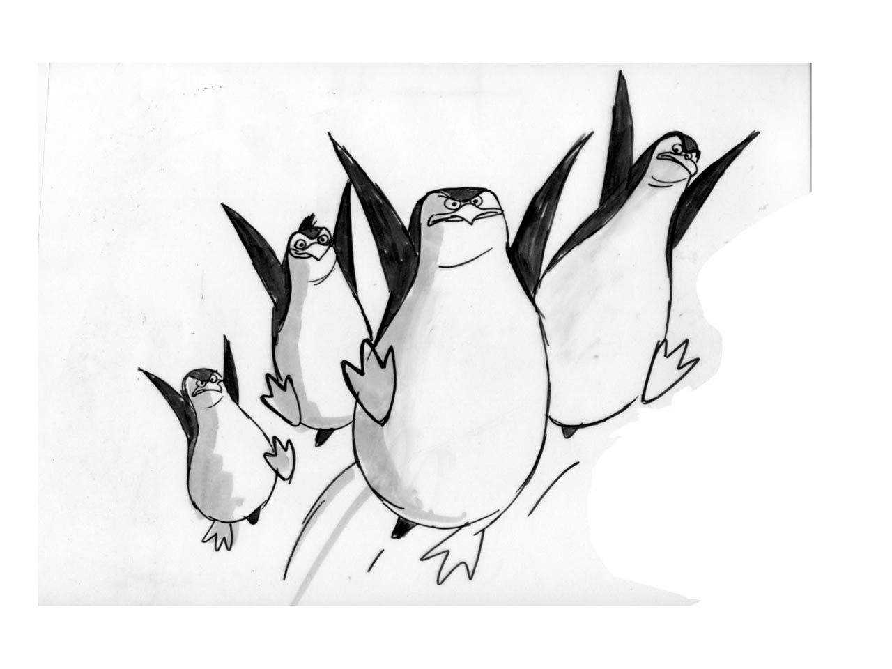 1280x960 Penguin Of Madagascar - Madagascar Sketches