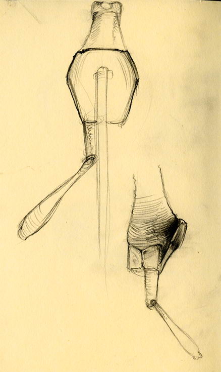 438x735 Dorothy Nevitt Madagascar Weevil Sketches - Madagascar Sketches