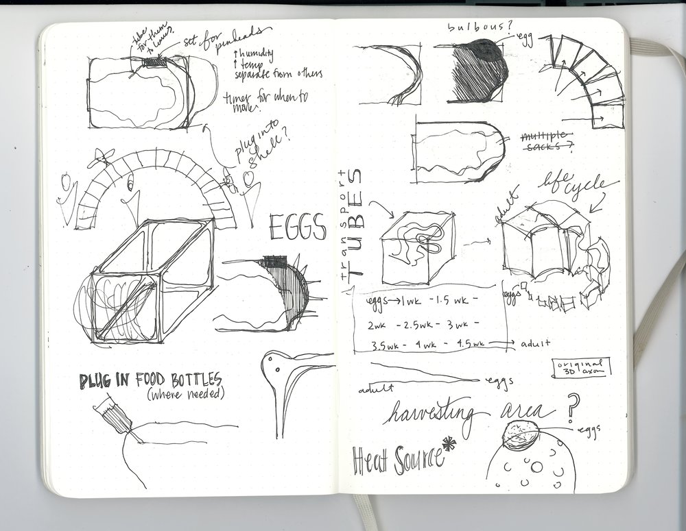 1000x775 Sketch Madeline Laberge - Madeline Sketch