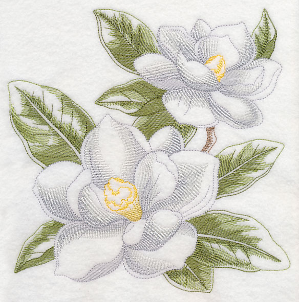 584x591 Machine Embroidery Designs - Magnolia Flower Sketch