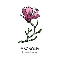 200x200 Magnolia Flower Sketch Stock Vectors - Magnolia Flower Sketch