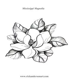 236x275 371 Best Magnolia I Images In 2018 Drawings - Magnolia Flower Sketch