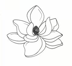 236x216 The 38 Best Magnolia Flower Outline Tattoo Images - Magnolia Flower Sketch