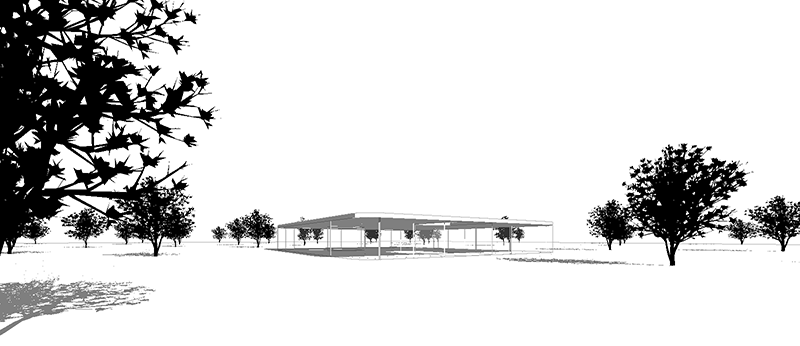 800x346 Saucer Magnolia Tree For Revit - Magnolia Tree Sketch