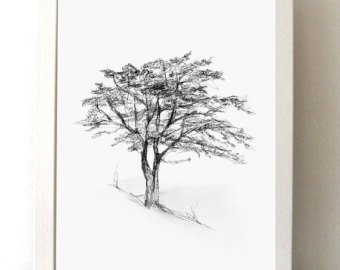 340x270 Tree Art Set Of 6 Tree Pencil Drawings Art Print Tree Etsy - Magnolia Tree Sketch