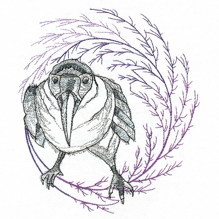700x700 Magpie Sketch M Magic Stock Art - Magpie Sketch