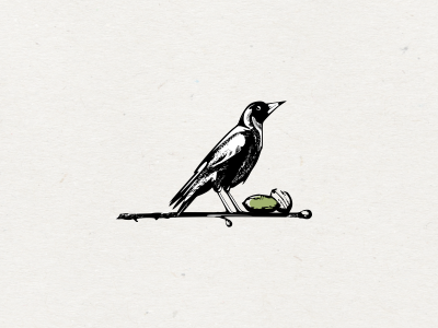400x300 Magpie By Ivana Maciev - Magpie Sketch