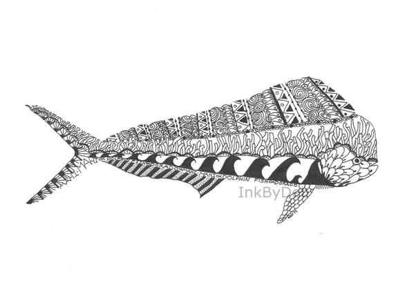 570x413 Mahi Mahi Ink Drawing 9 X 12 Print Etsy - Mahi Sketch