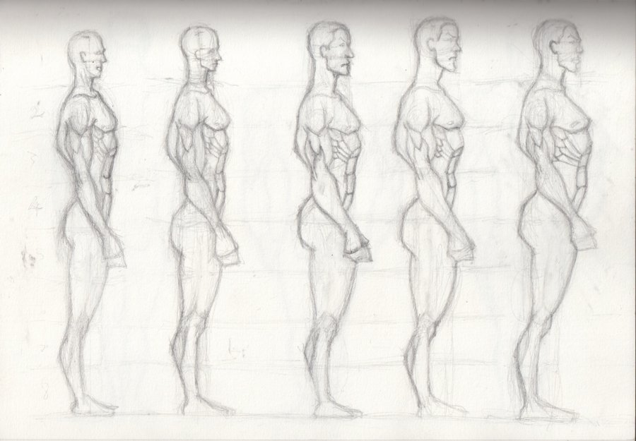 900x625 Drawing Male Anatomy Hero 2 By Oludayonba - Male Anatomy Sketch