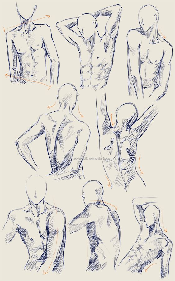 562x900 Male Anatomy Practice By Ze Rofruits Torso Anatomy - Male Anatomy Sketch