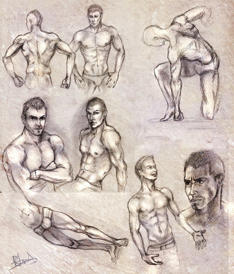 800x935 Male Anatomy Sketches By Ruxandralache - Male Anatomy Sketch