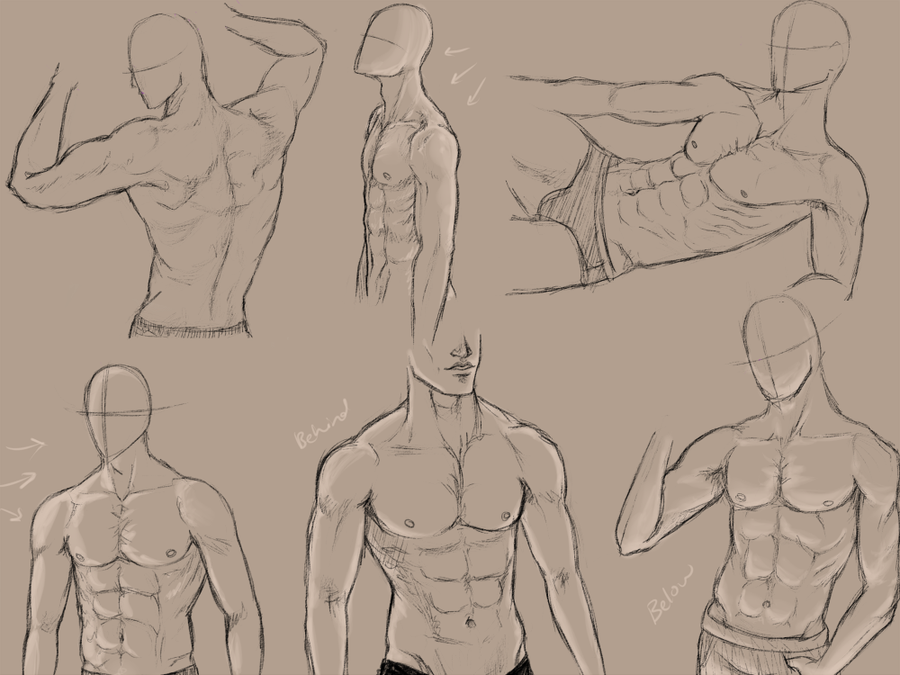 900x675 Male Anatomy Practice By On @ - Male Anatomy Sketch