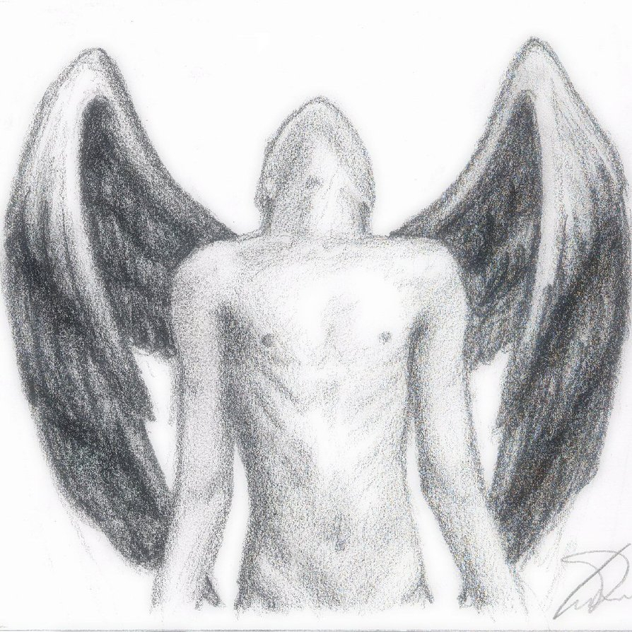 894x894 Male Angel Sketch Male Angelsatinrose - Male Angel Sketch