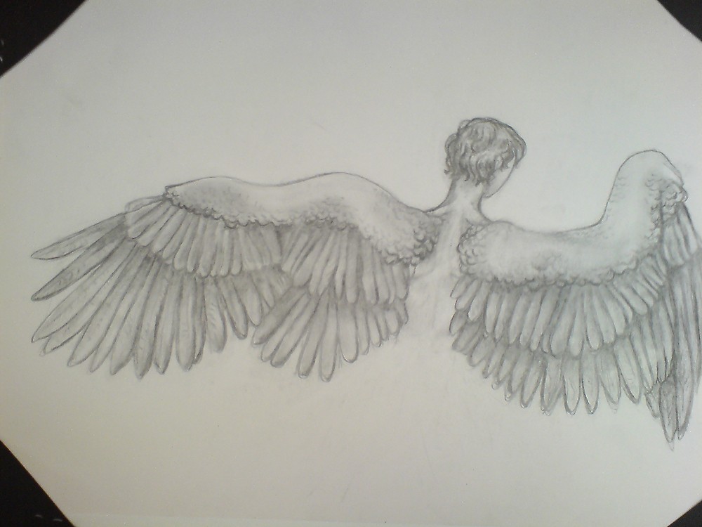 1000x750 Male Angel Sketch By Dani Louise Sharlot Redbubble - Male Angel Sketch