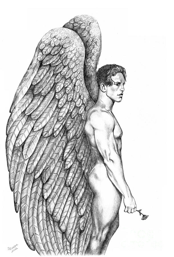 610x900 Male Angel With Rose Drawing By Dawn Rosendahl - Male Angel Sketch