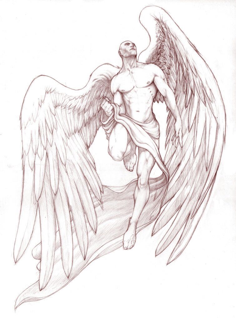 756x1017 This Male Angel Is Stunning Amp Would Look Great As A Tattoo Wings - Male Angel Sketch
