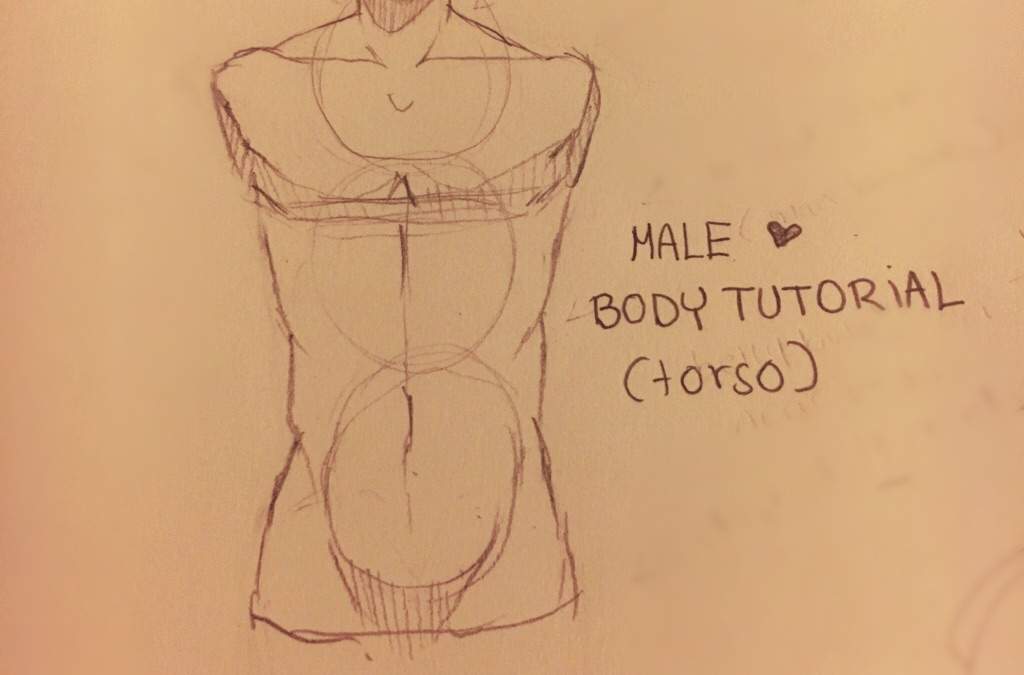 1024x675 Male Torso Drawing Tutorial Black Butler Amino - Male Body Sketch