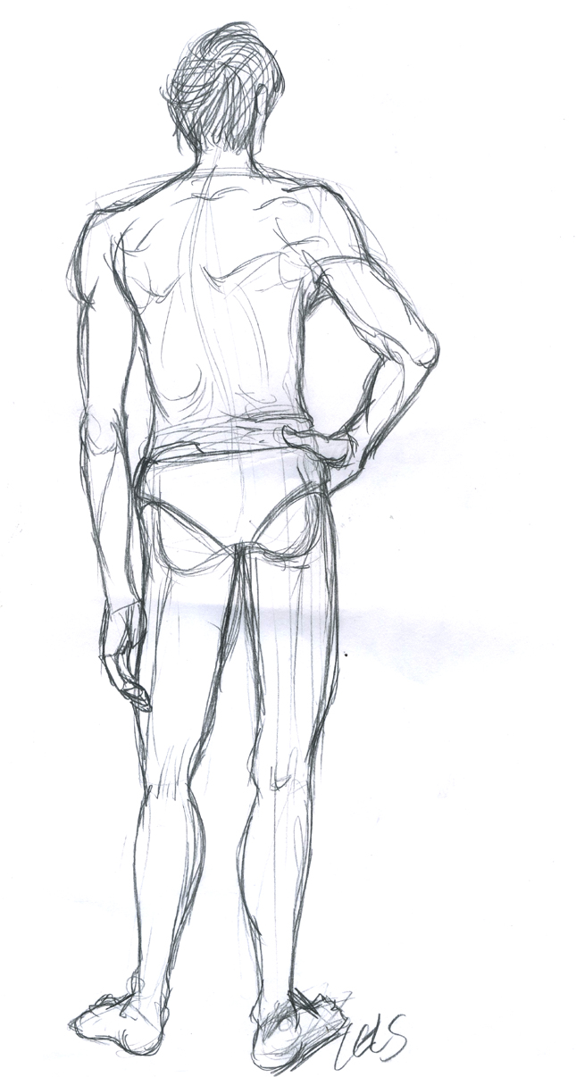 645x1206 Male Figure Sketch By Dragonladycels - Male Figure Sketch