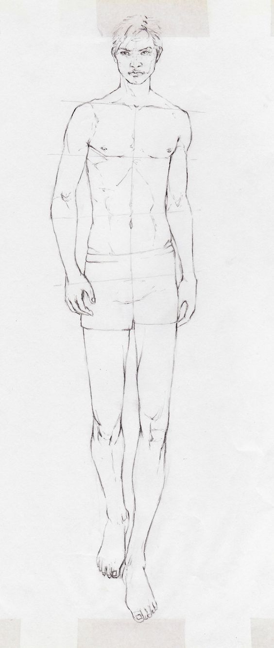 564x1333 Male Figure Male Figure Illustration, Fashion - Male Figure Sketch