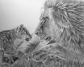 340x270 Lion Pencil Art Etsy - Male Lion Sketch