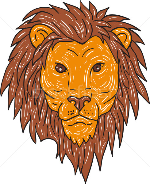 489x600 Male Lion Big Cat Head Drawing Vector Illustration Aloysius - Male Lion Sketch