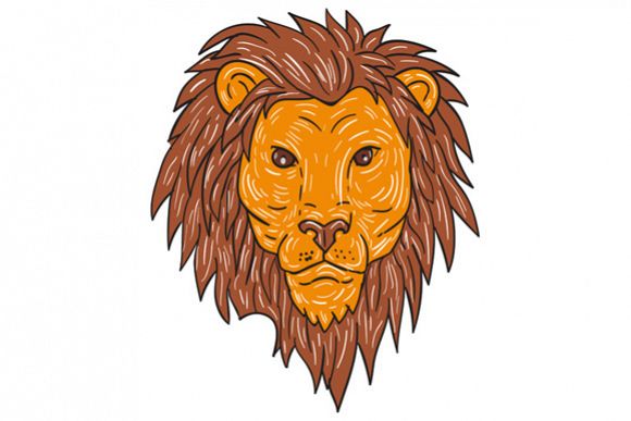 580x387 Male Lion Big Cat Head Drawing - Male Lion Sketch