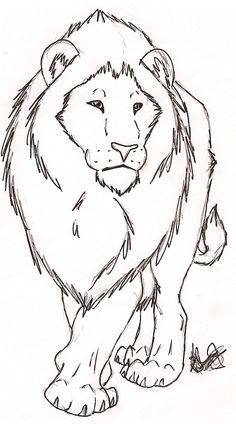 236x424 28 Best Lions Images Doodles, Paintings And Doodle - Male Lion Sketch