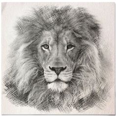 236x236 281 Best Lion Images In 2018 Tattoo Ideas, Awesome - Male Lion Sketch