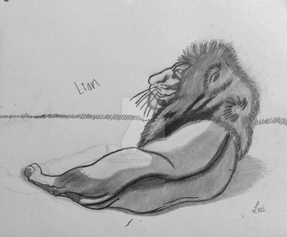 984x812 Male Lion Sketch By Souleaterlover123123 - Male Lion Sketch