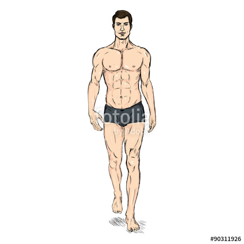 500x500 Vector Single Sketch Illustration - Male Model Sketch
